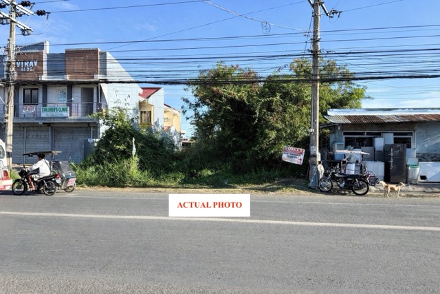 Commercial Lot in Cabanatuan City, Nueva Ecija - Move-in Ready Property